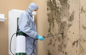 Best Biohazard Mold Removal in Pascagoula, MS